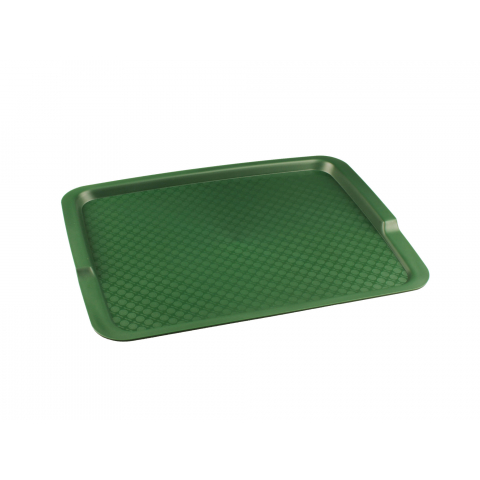 Поднос 422108009 (425х320мм, зеленый)