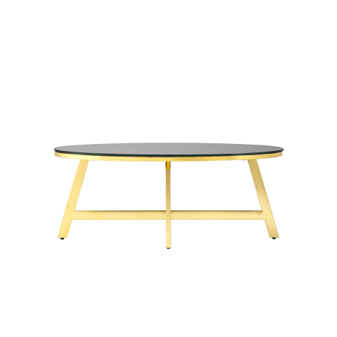 Журнальный стол 100*50 АЛЬБА золото стекло черное