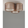 Светильник потолочный Moderli V10623-3C Room
