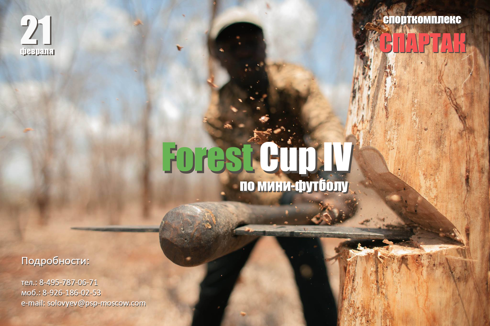 Forest cup IV